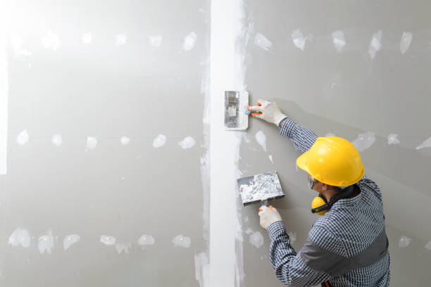 Best Mold Odor Removal Services  in Leesville, LA